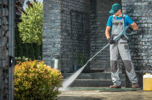 Best Fleet Vehicle Washing  in Ovid, MI