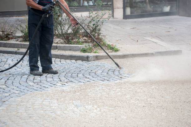 Trusted Ovid, MI Pressure Washing Services Experts