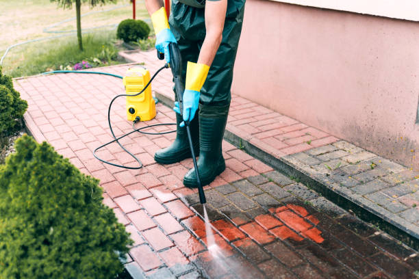 Best Playground Equipment Cleaning  in Ovid, MI