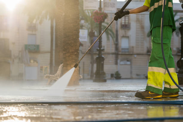 Best Patio and Deck Pressure Washing  in Ovid, MI